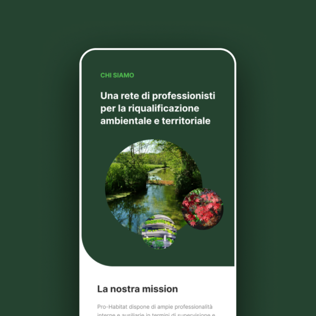 Prohabitat – Design web